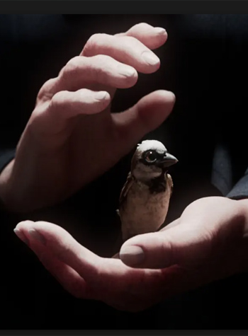 A SPARROW'S SONG